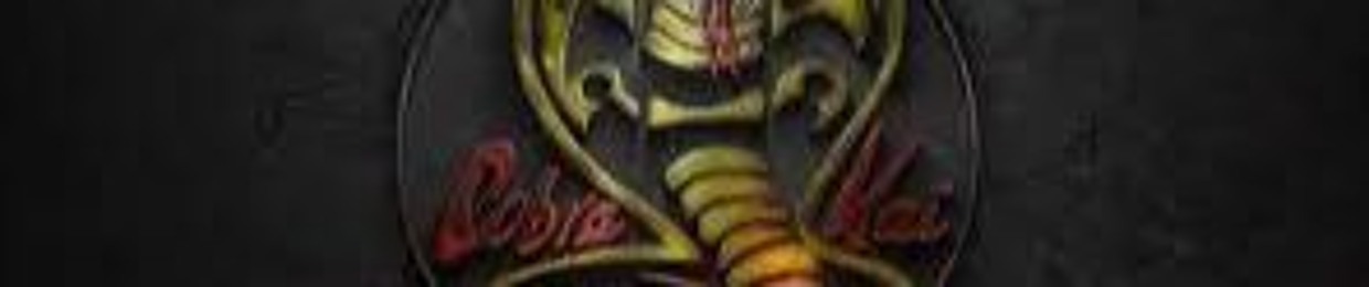 HAWK COBRA KAI NO MERCY