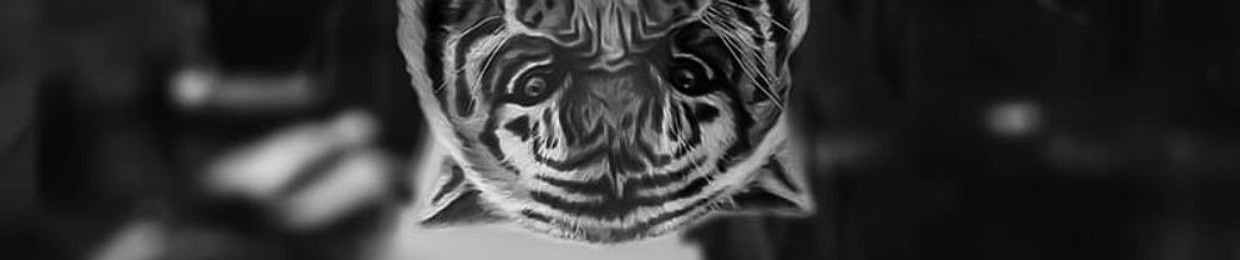 wakeup