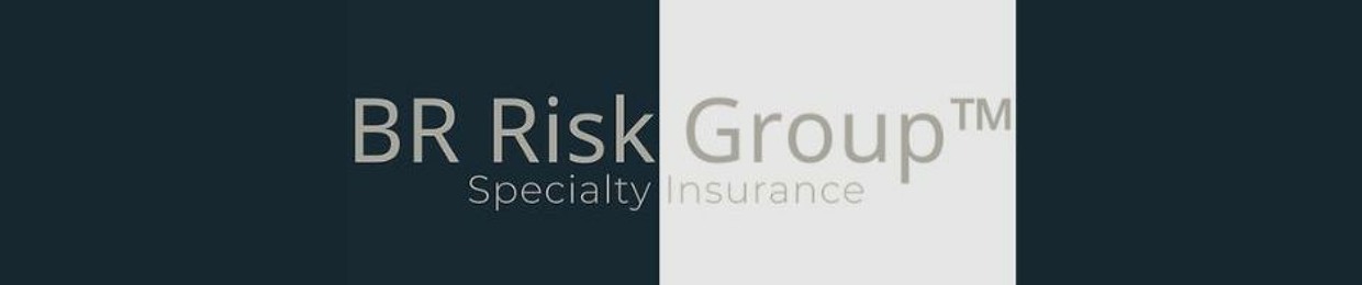 BR Risk Group Specialty Insurance