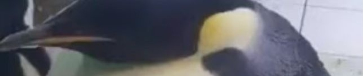 Angka bratatata