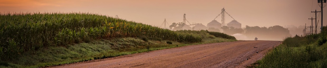 Picking Corn – Nebraska's 2024 Senate races