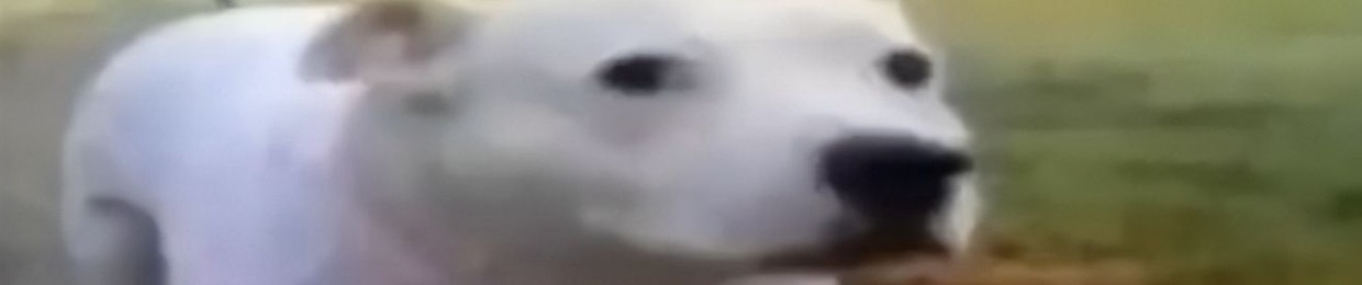lilvařič:"!''revived