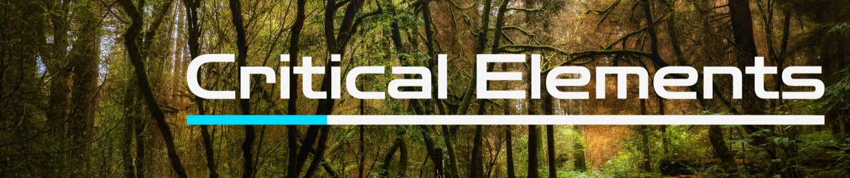 Critical Elements