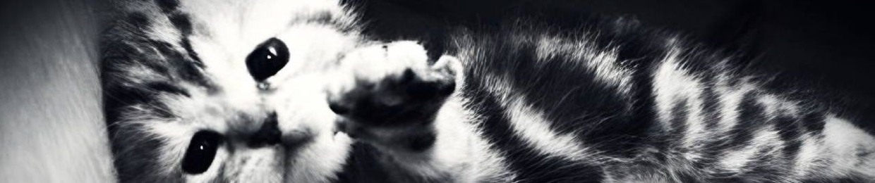 Баутин Вадим