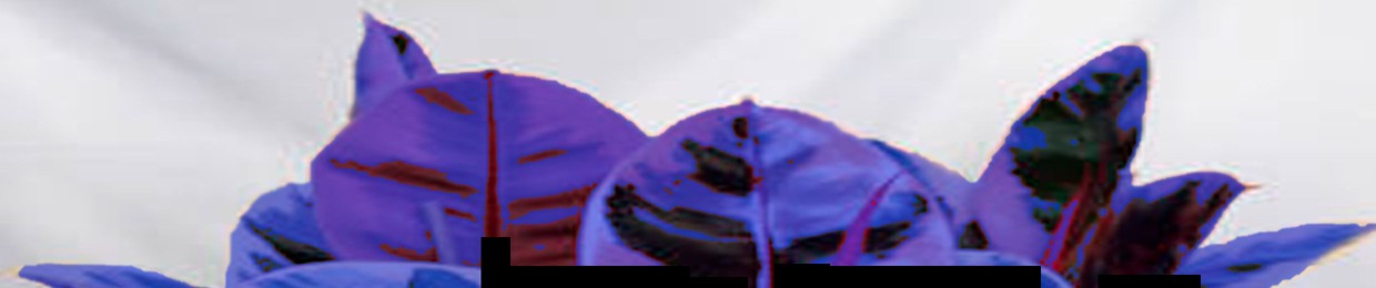 TβF
