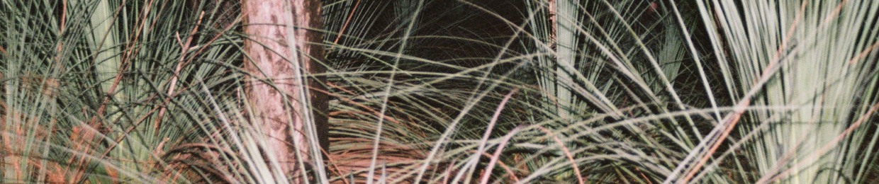 ARCHIVE26