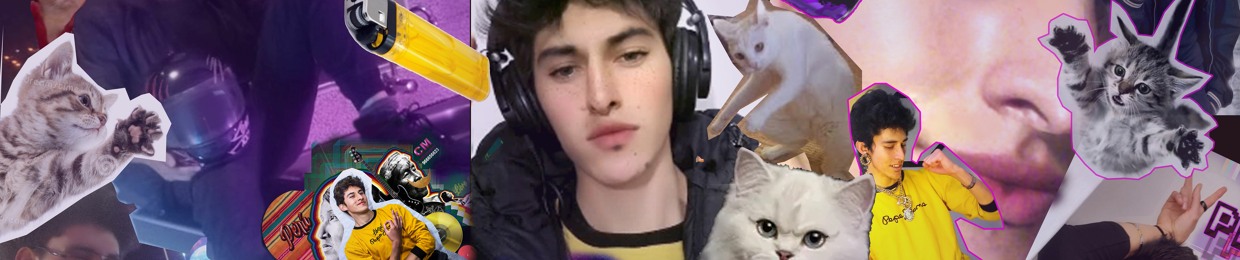 ALE12 BADCAT Michimalo