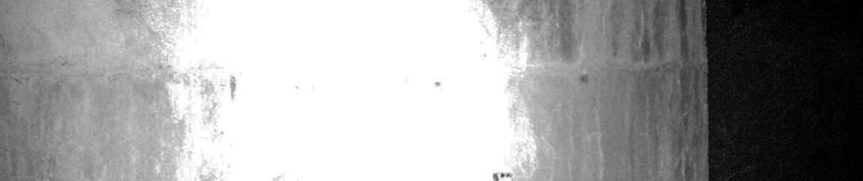 Simply The Badgerest