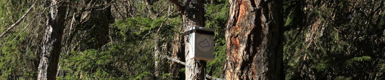 Unlearning Forests
