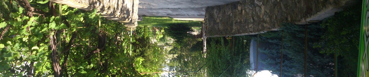 tlw love cypresses
