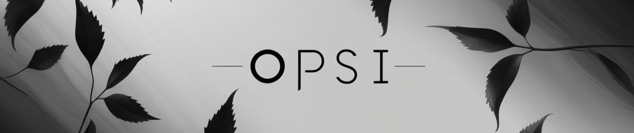 Opsi