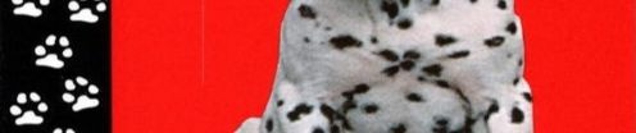 ~~~~bloOMBER tv~~~~~~~~~~++++++++++++++____