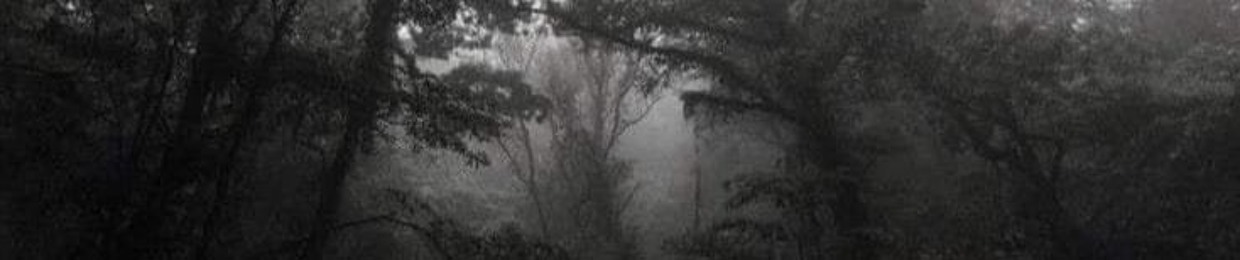 Silentcry