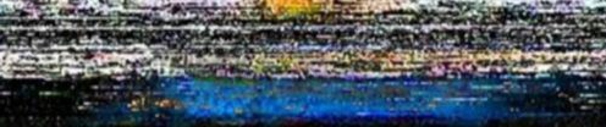 Constitution of The African National Congress CCTV