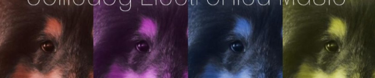 Colliedog Electronica Music