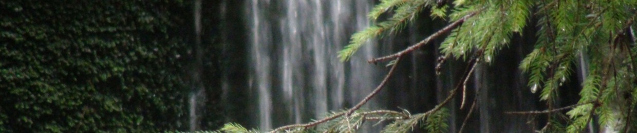 InThext Music Products