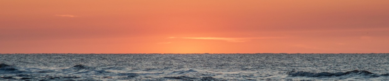Sol Transition