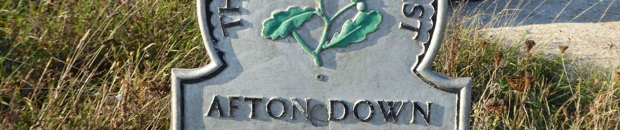 mike hogarth and the smileymikes