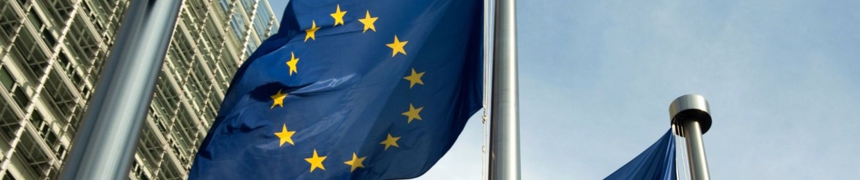 The European Dialogue by The EU-VALUES Network