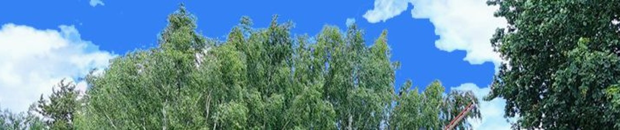 prinzhessin