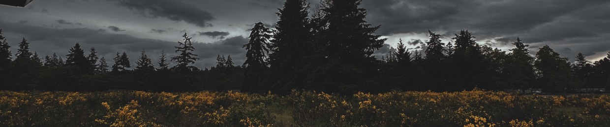 DANGER: WILDMAN