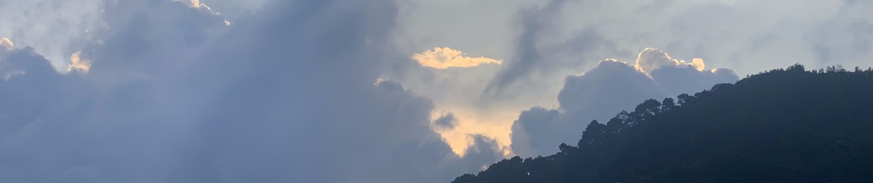 _