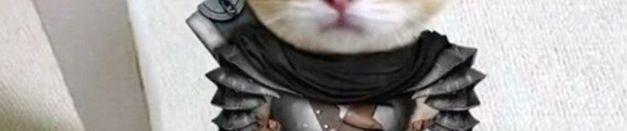 Mohammad Mobin Nia