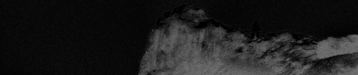 bears taste computer