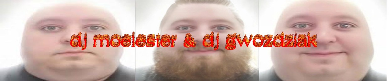 DJ Moelester & DJ Gwoździak