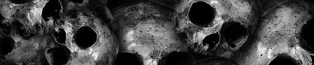 NOTLE 041