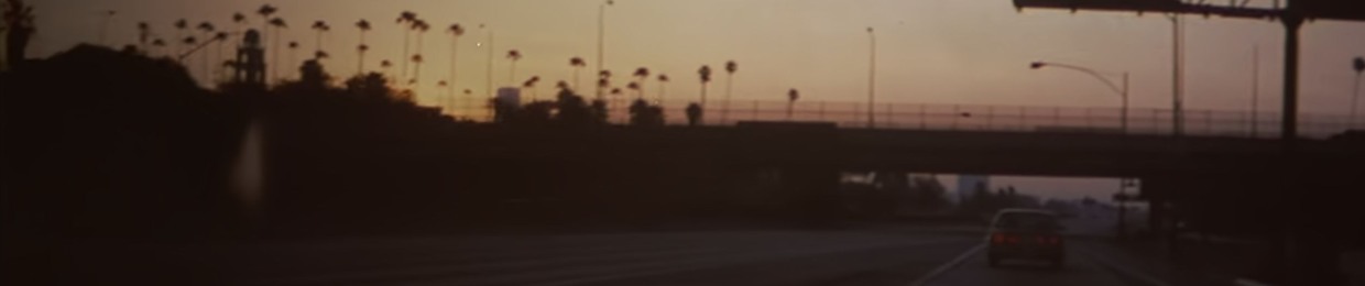 public_float