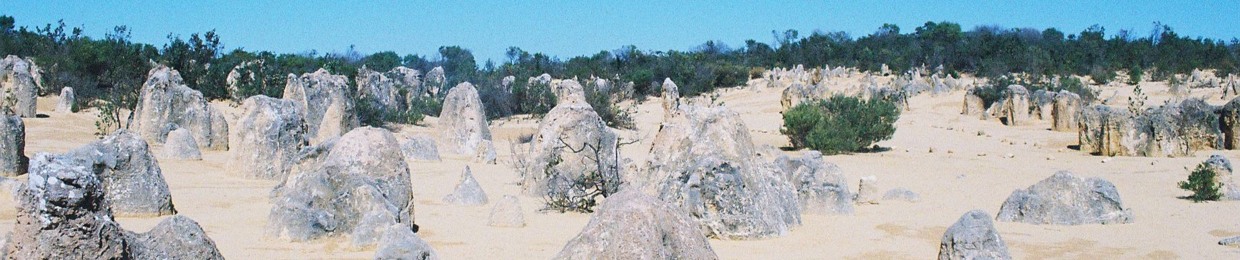Albert's Groove