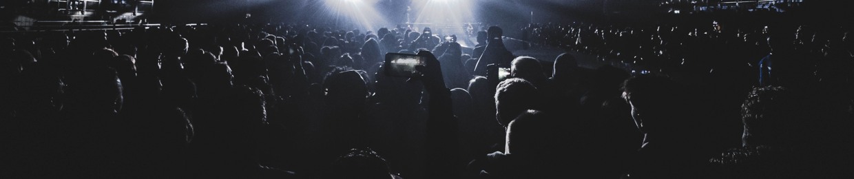 THE MUSIC NETWORK