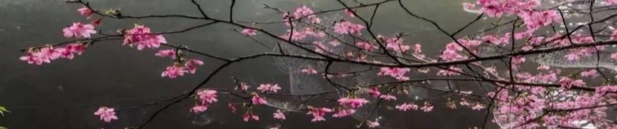 azsde_322
