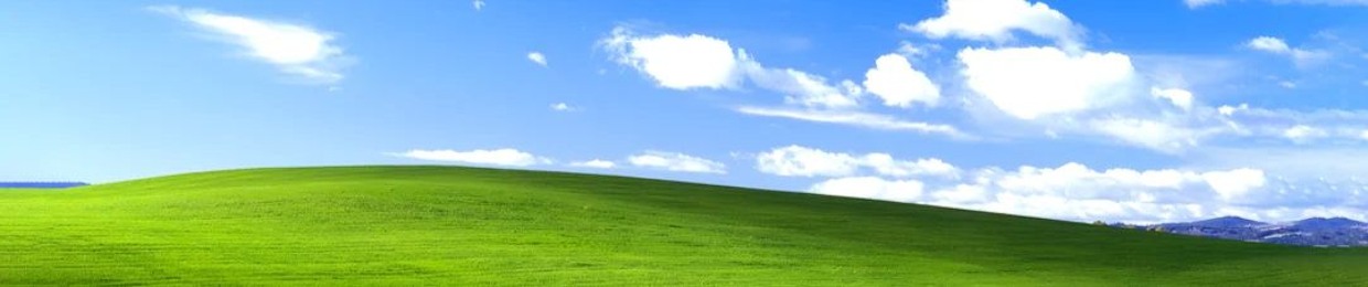 t¥$ee