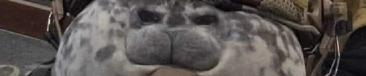 sqr1