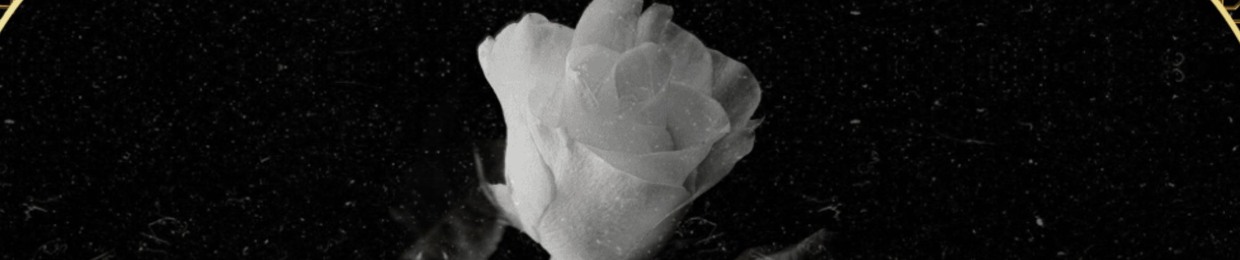 BKBMUSIC11