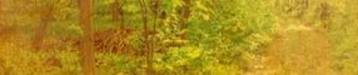 ❈⃝✞❈⃝✞antlergate❈⃝✞❈⃝✞dragoste1245 the prophesier