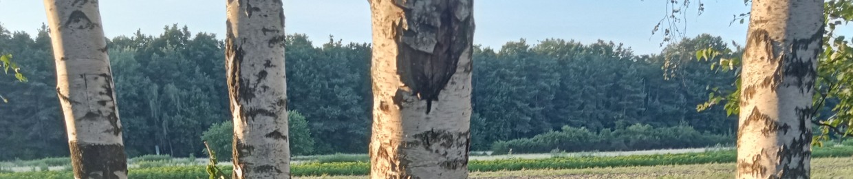 Hodełko