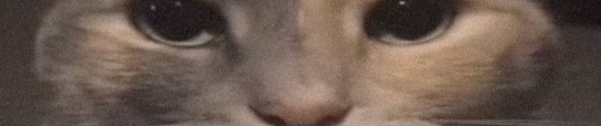 fvsdfgsdgsdgsdfsdc