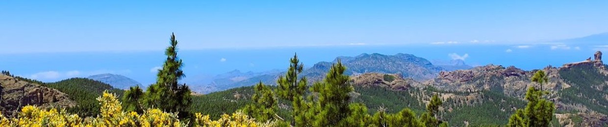 Creating Value in Schools