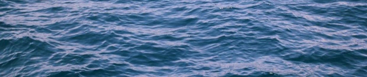 Nugget's official deltarune chapter 3 that is real