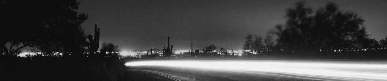 THE NIGHT DRIVE