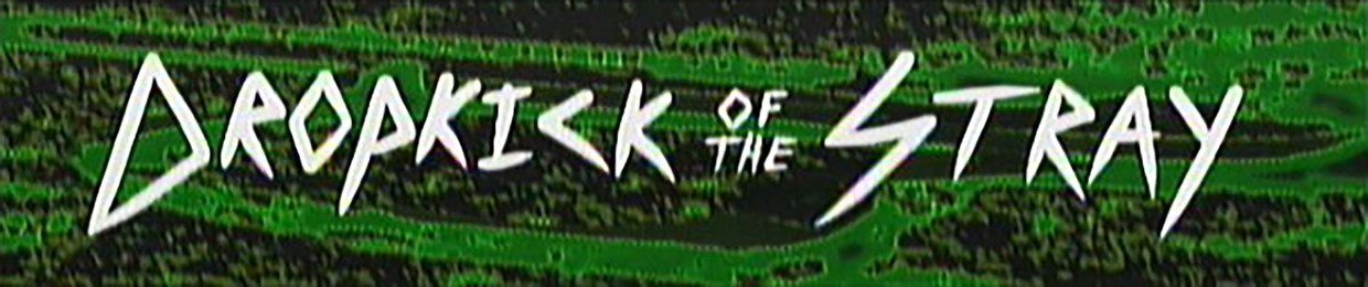 DropkickoftheStray