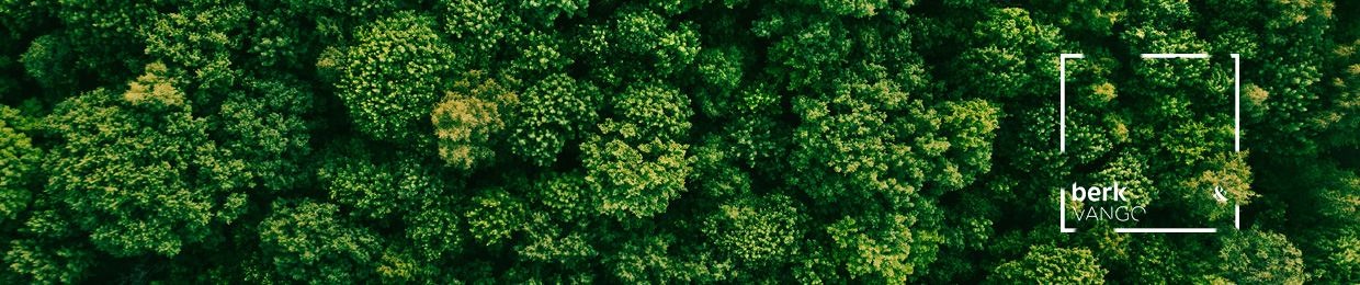 Berk & Vango