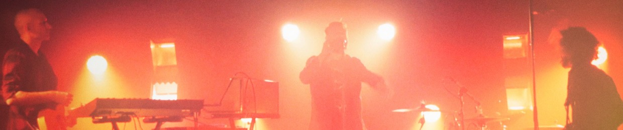 Elephantsealmusic
