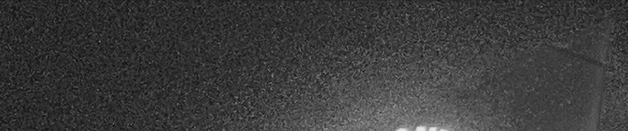 anthony fauci killed my parents