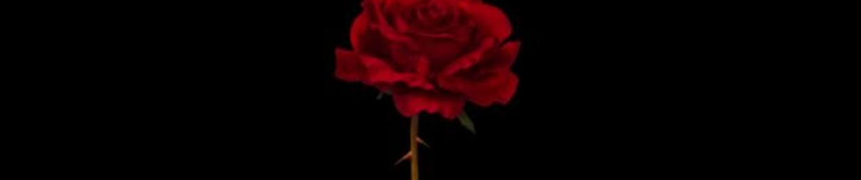 🌹spinabidadot🌹Free Zyi🌹