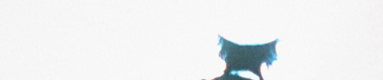 echowaves