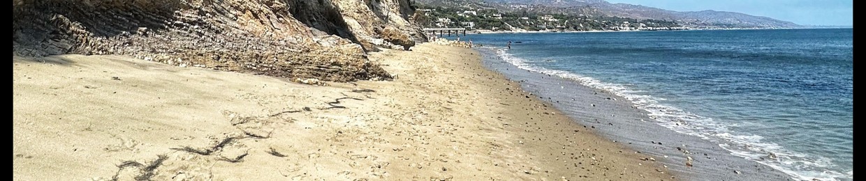 Forever House Records FHR